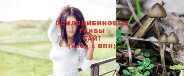 соль ск Абинск